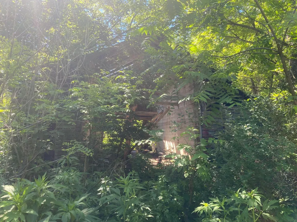 27333 Deep River Road Lanesboro, MN 55949