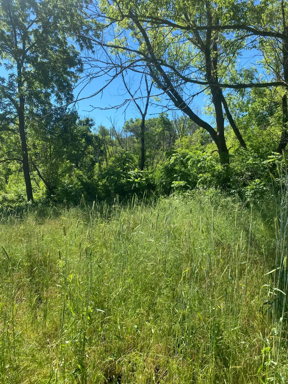 27333 Deep River Road Lanesboro, MN 55949