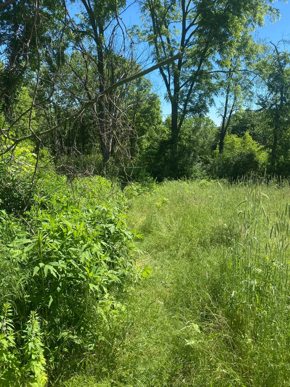 27333 Deep River Road Lanesboro, MN 55949