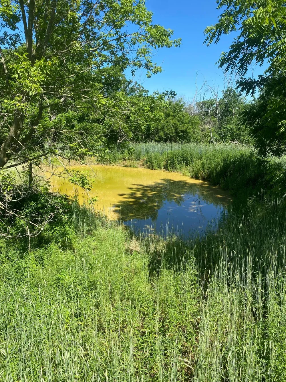 27333 Deep River Road Lanesboro, MN 55949