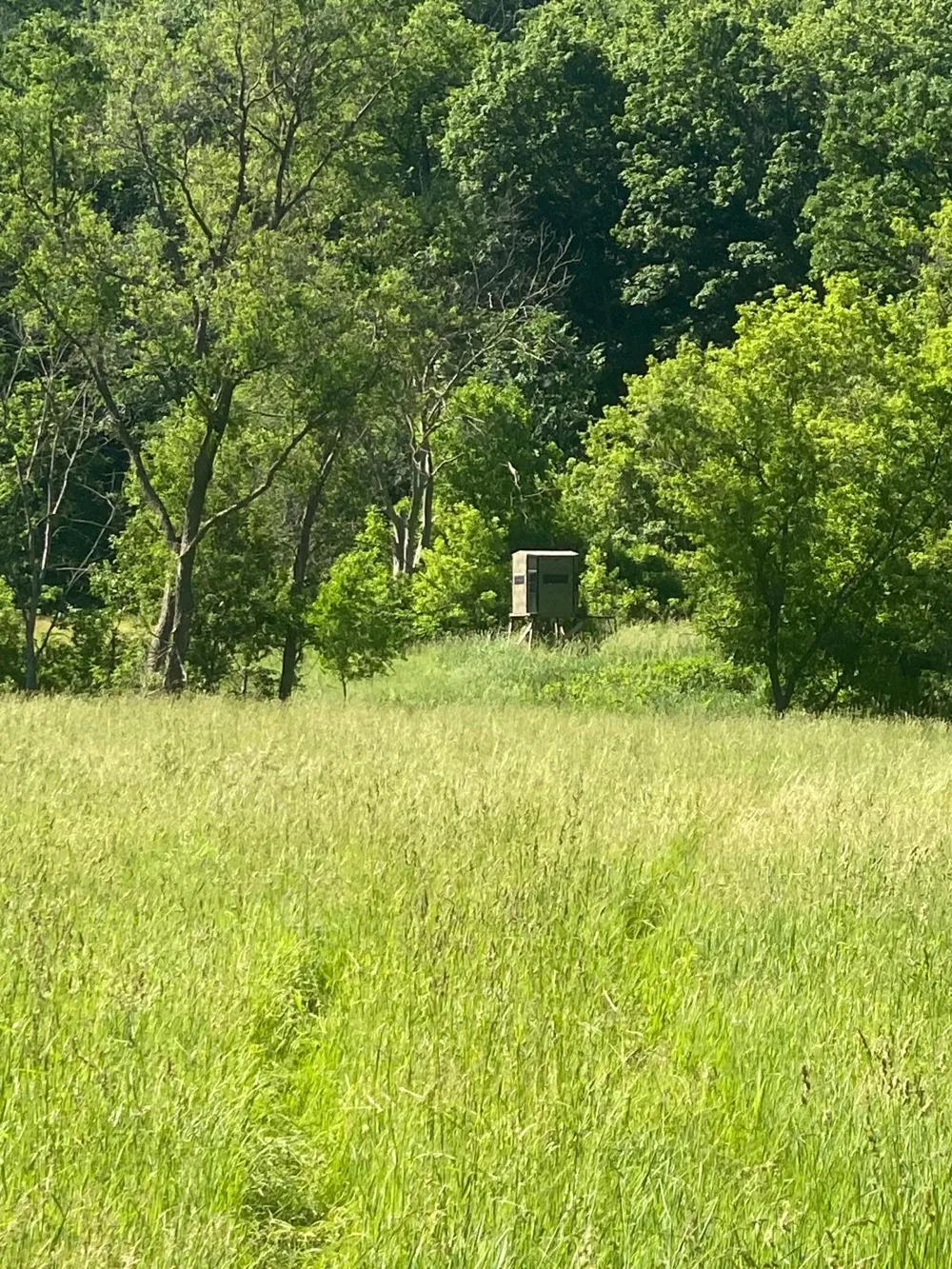 27333 Deep River Road Lanesboro, MN 55949