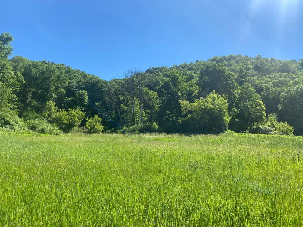 27333 Deep River Road Lanesboro, MN 55949