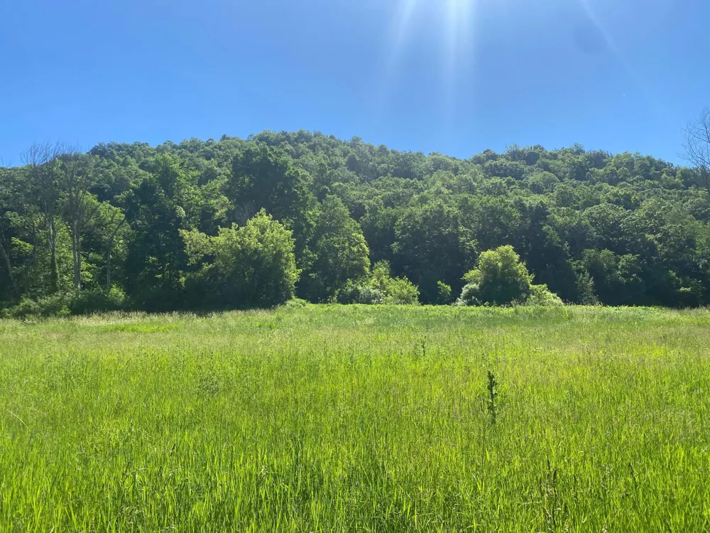 27333 Deep River Road Lanesboro, MN 55949