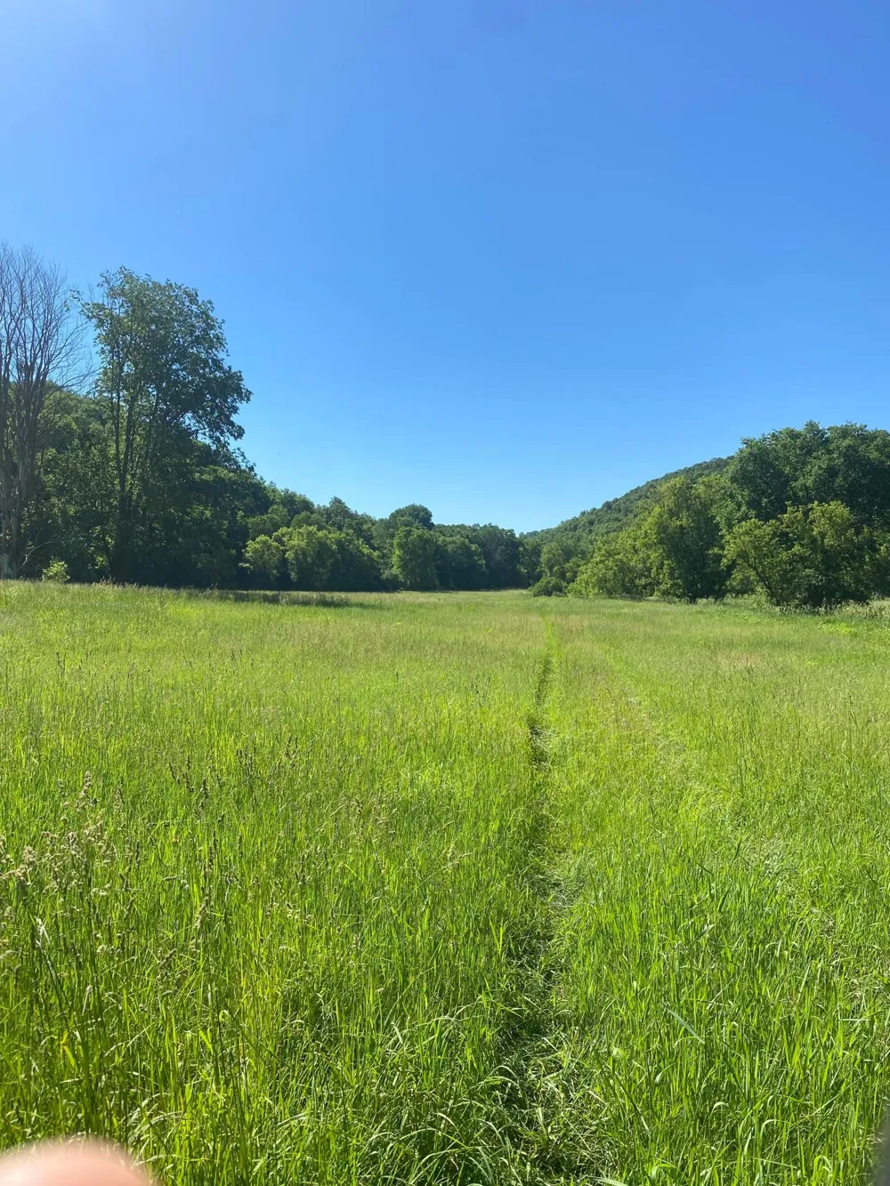 27333 Deep River Road Lanesboro, MN 55949