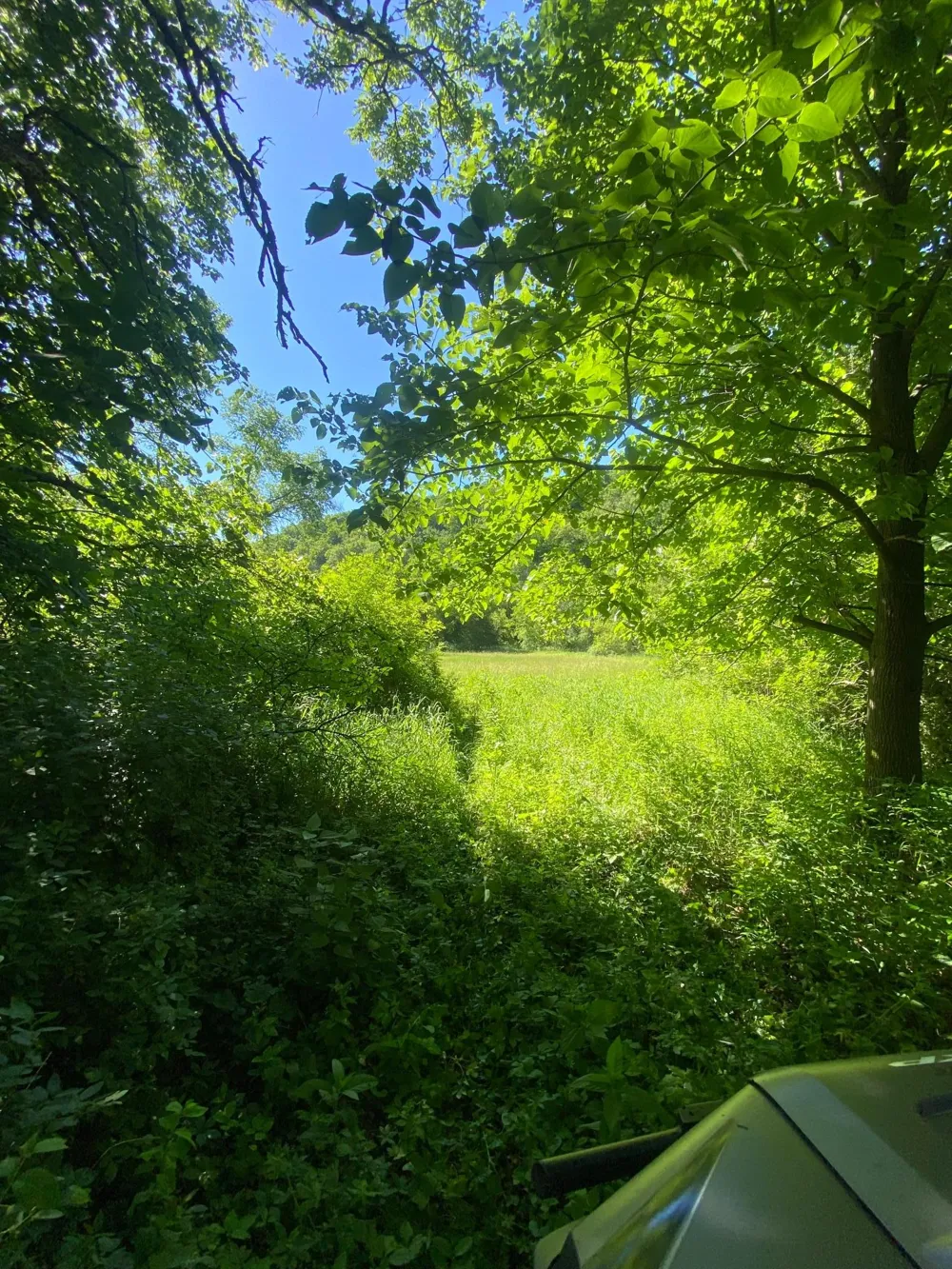 27333 Deep River Road Lanesboro, MN 55949