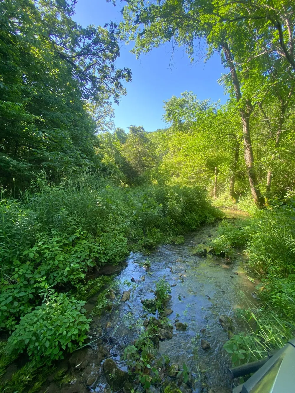 27333 Deep River Road Lanesboro, MN 55949