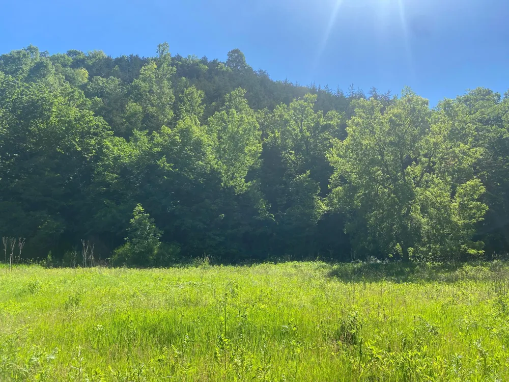 27333 Deep River Road Lanesboro, MN 55949