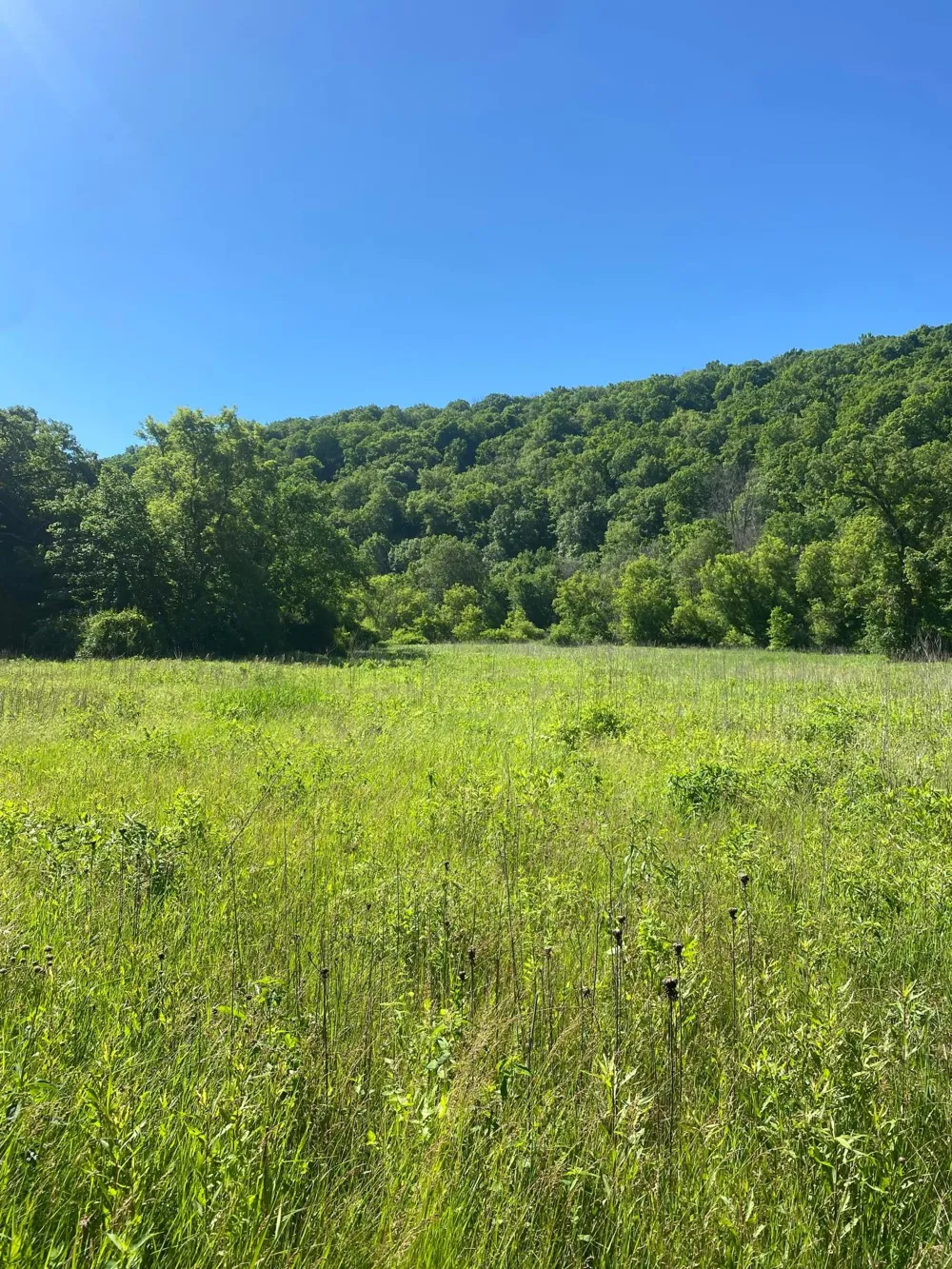 27333 Deep River Road Lanesboro, MN 55949