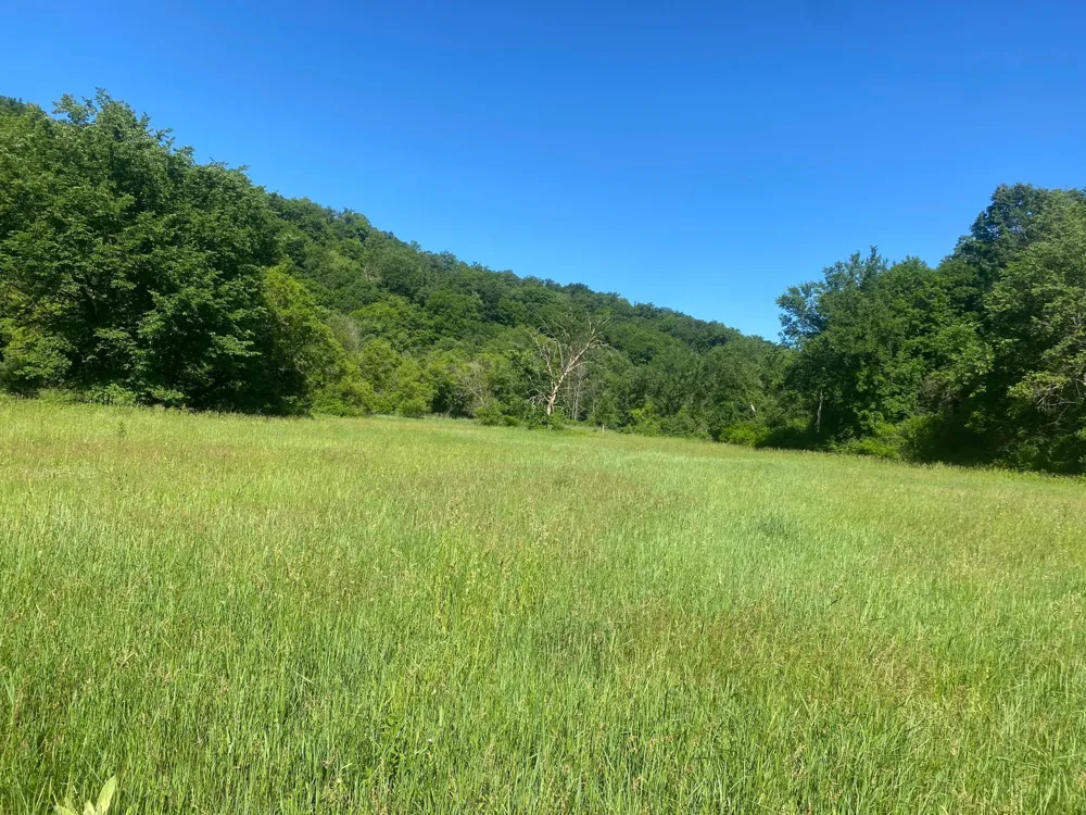 27333 Deep River Road Lanesboro, MN 55949