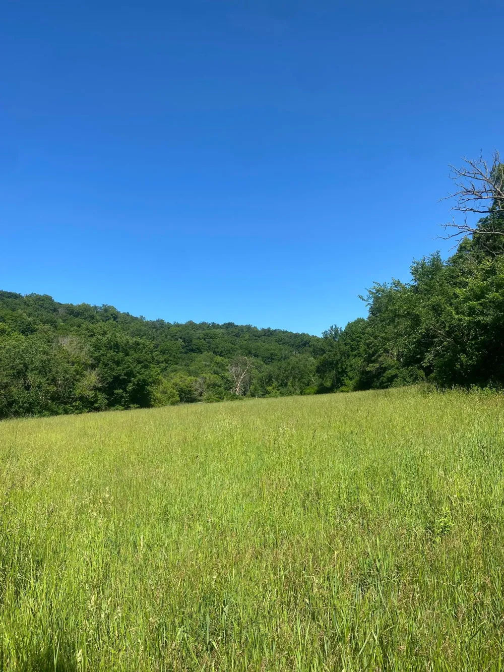 27333 Deep River Road Lanesboro, MN 55949