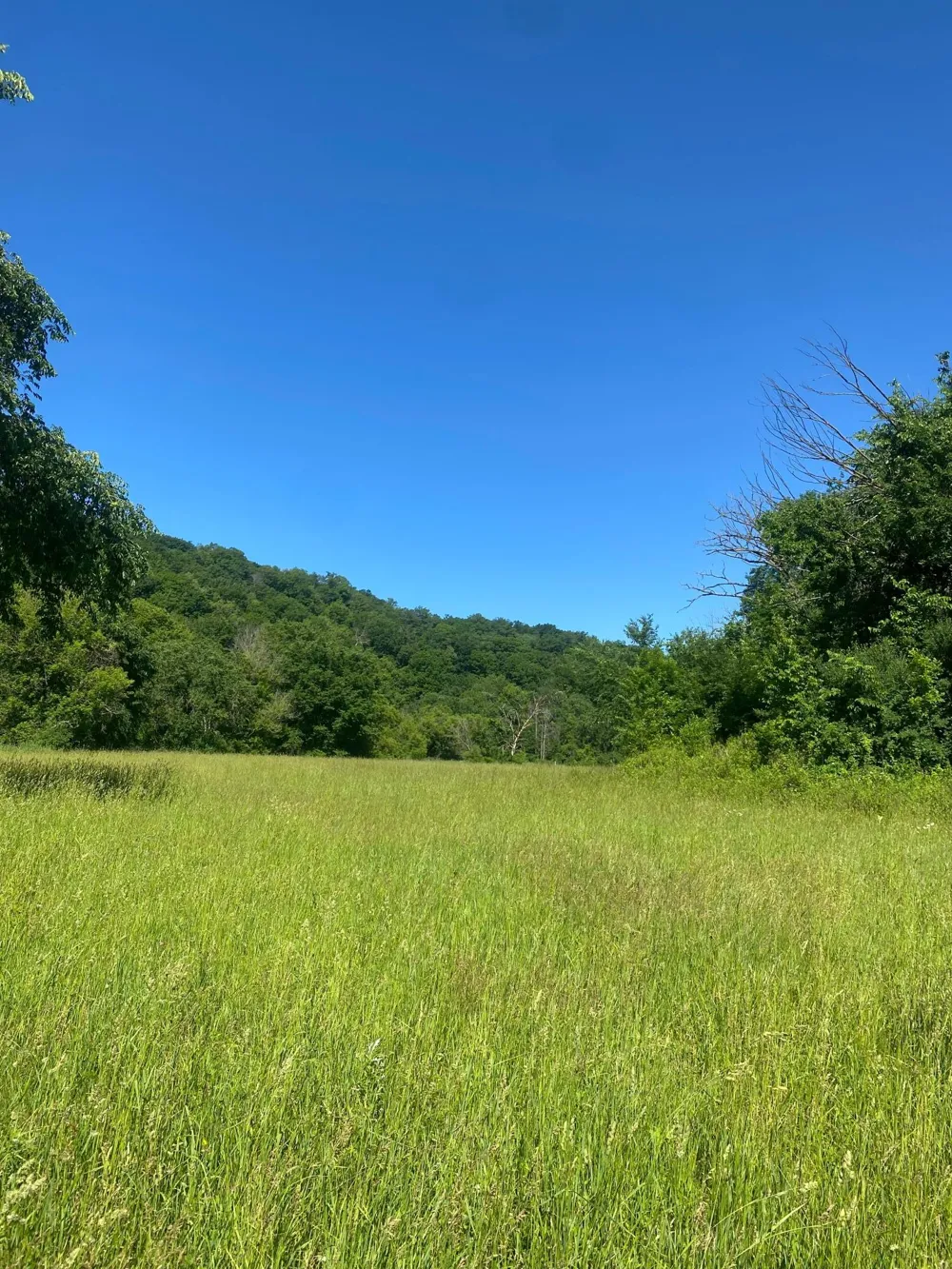 27333 Deep River Road Lanesboro, MN 55949