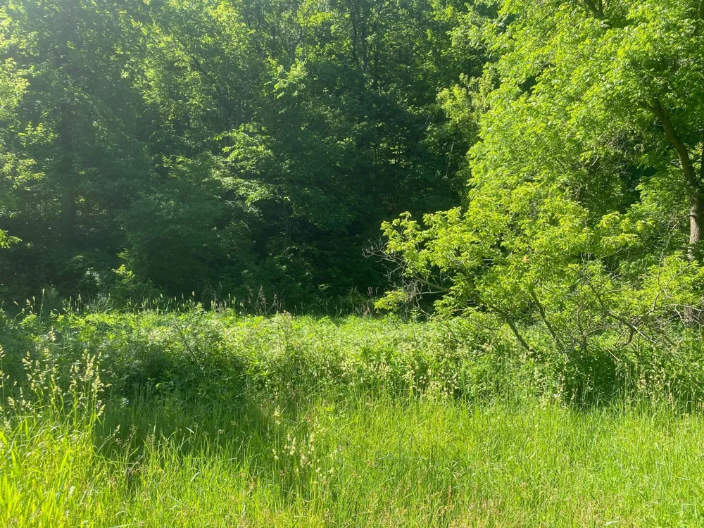 27333 Deep River Road Lanesboro, MN 55949