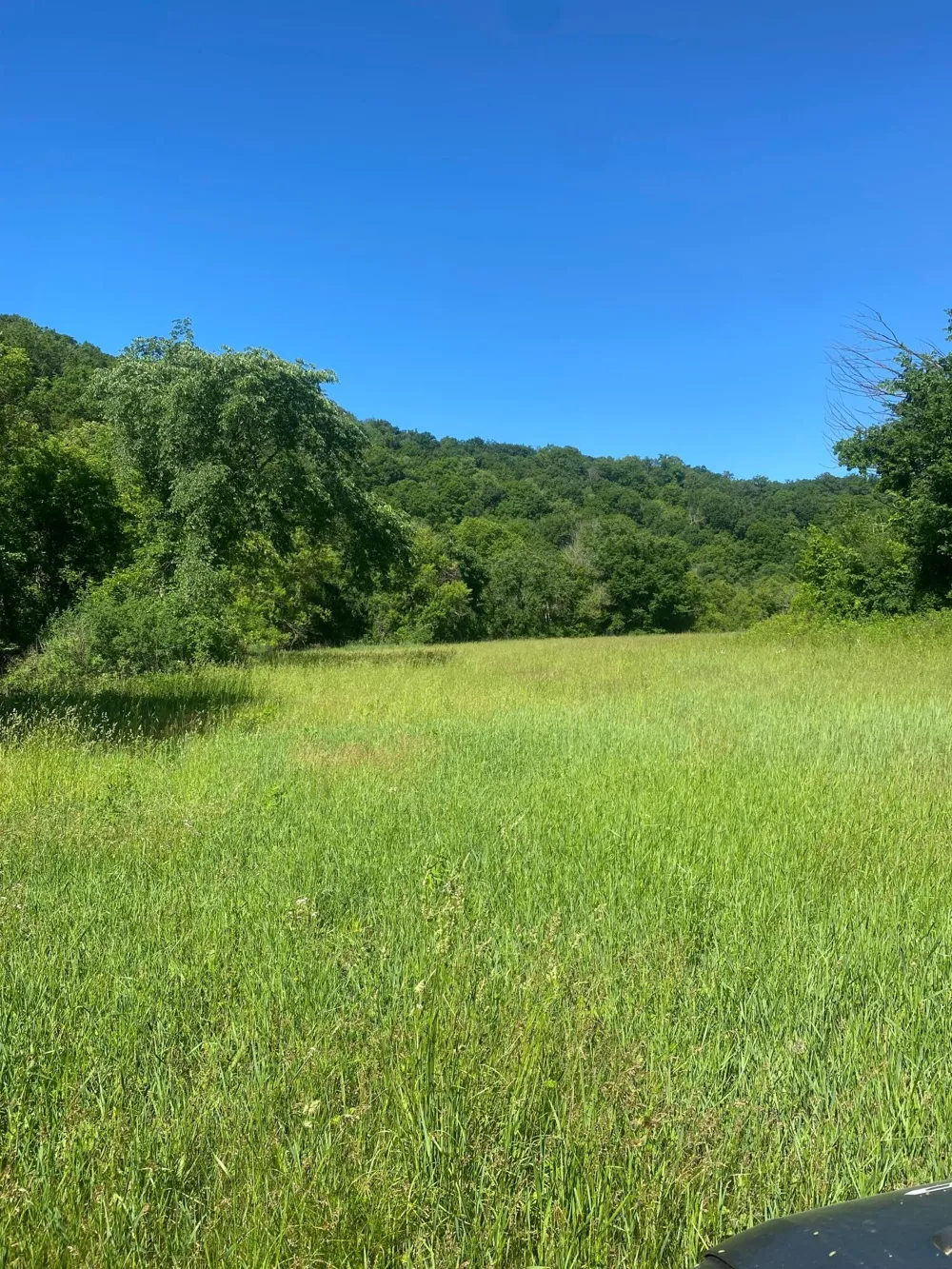 27333 Deep River Road Lanesboro, MN 55949