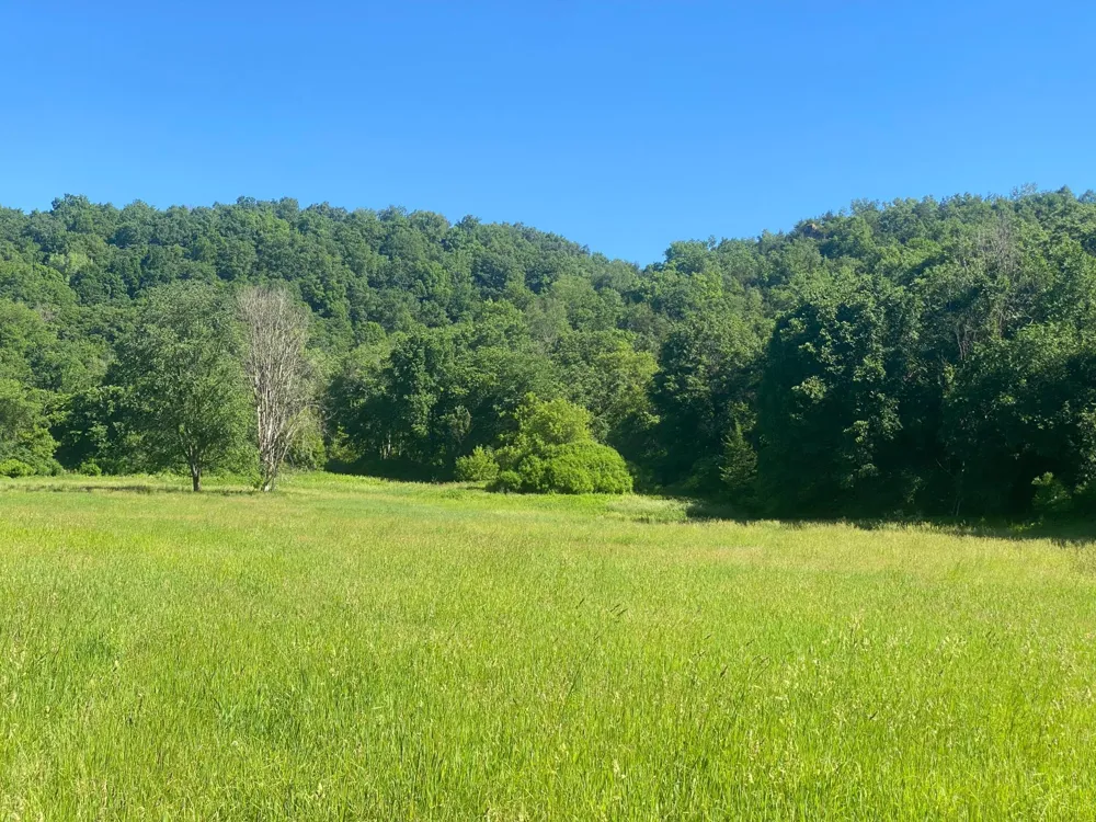 27333 Deep River Road Lanesboro, MN 55949