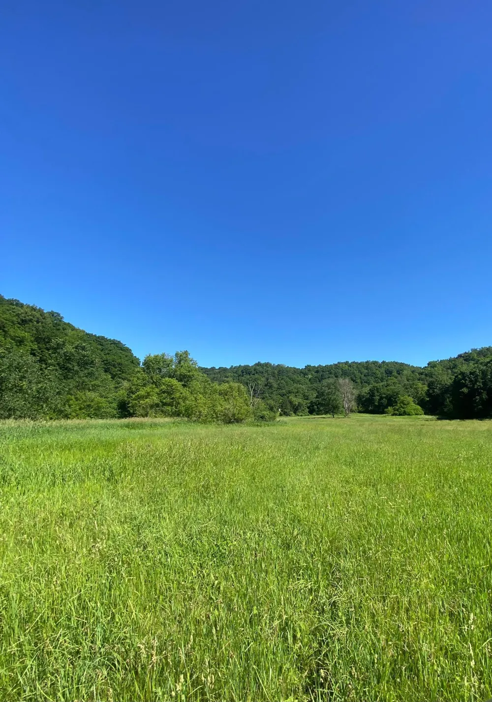 27333 Deep River Road Lanesboro, MN 55949