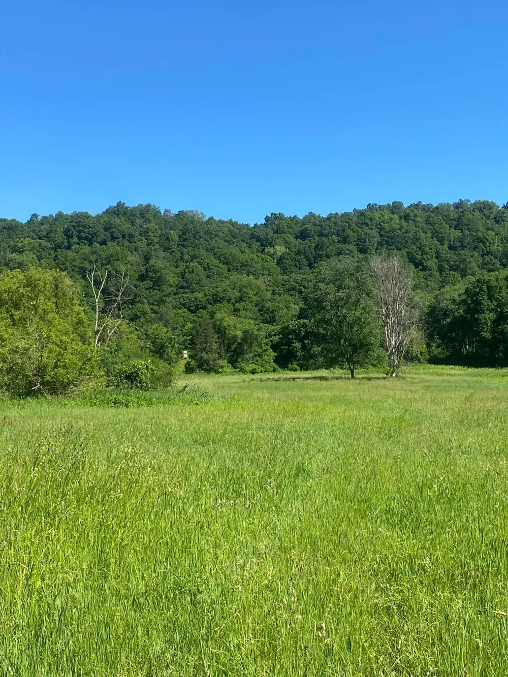 27333 Deep River Road Lanesboro, MN 55949