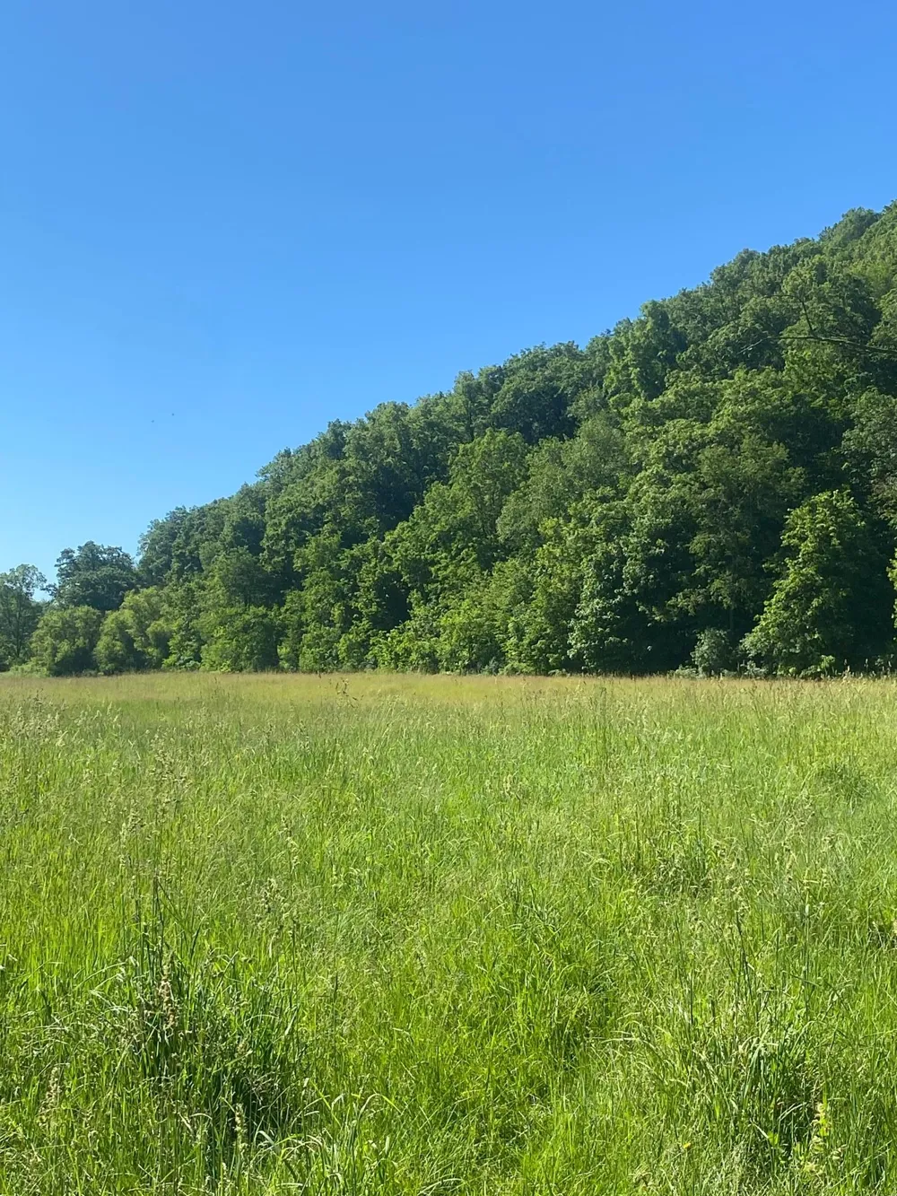 27333 Deep River Road Lanesboro, MN 55949