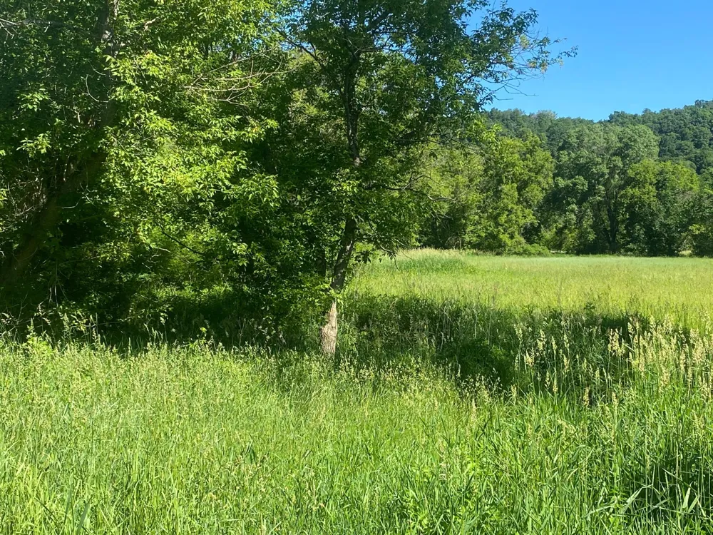 27333 Deep River Road Lanesboro, MN 55949