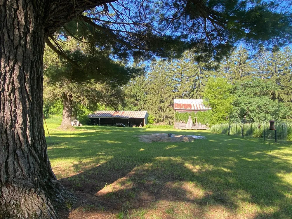 27333 Deep River Road Lanesboro, MN 55949
