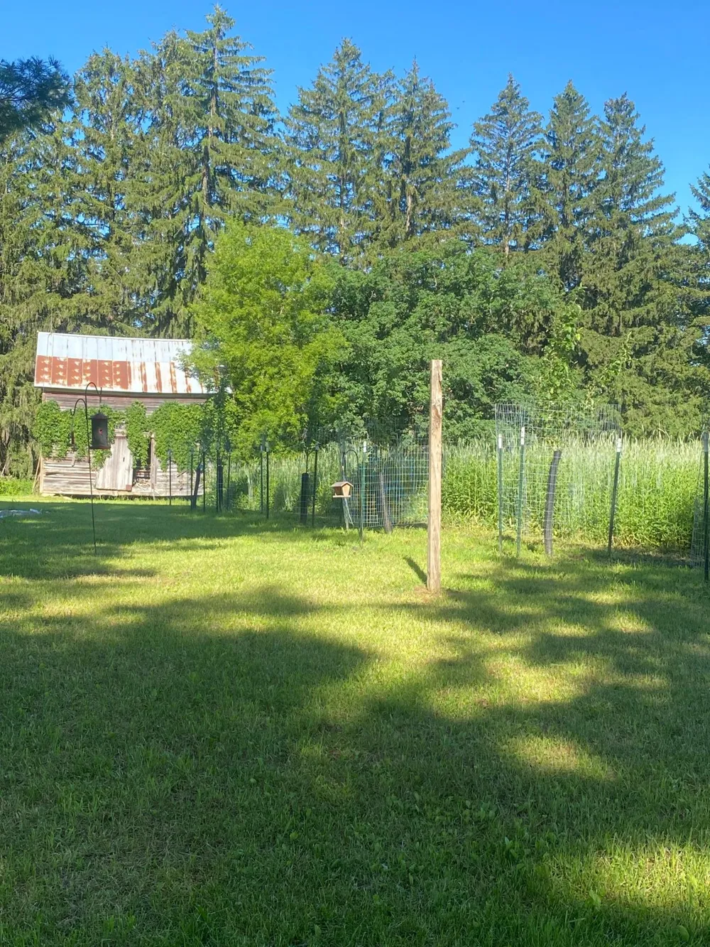 27333 Deep River Road Lanesboro, MN 55949