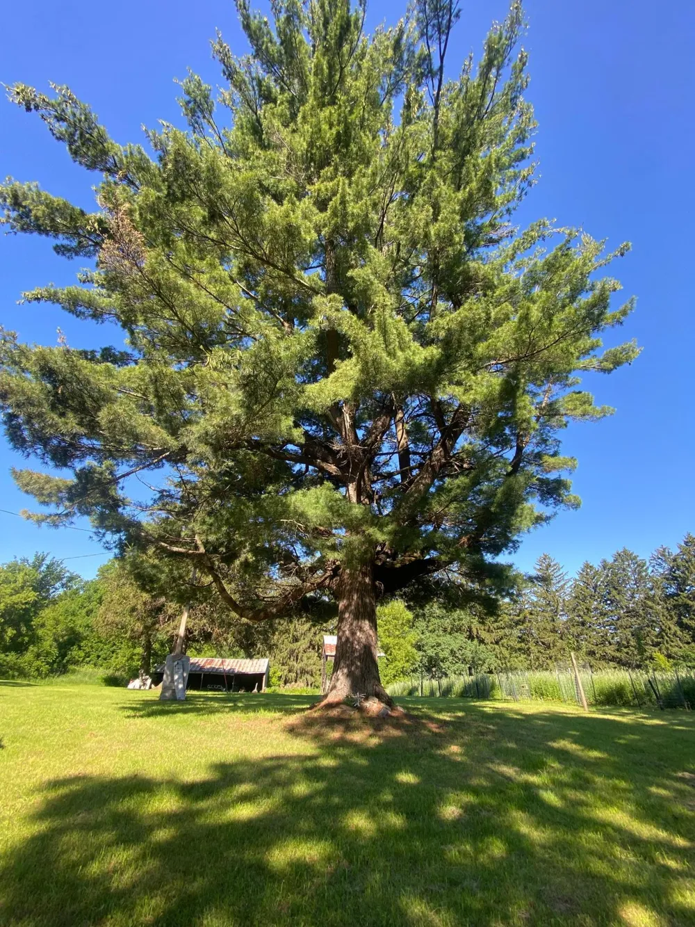 27333 Deep River Road Lanesboro, MN 55949
