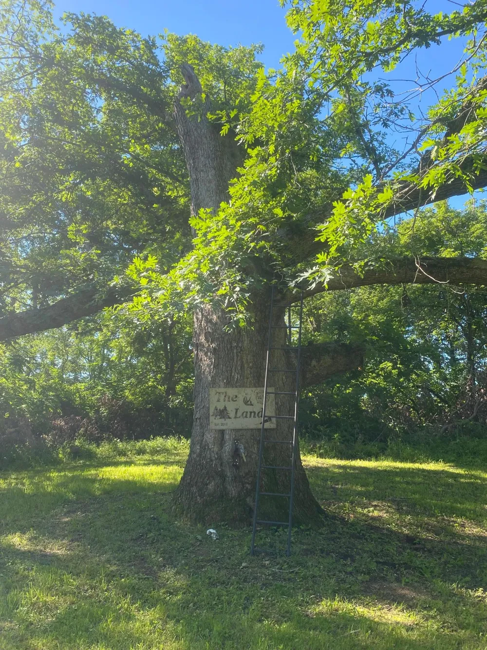 27333 Deep River Road Lanesboro, MN 55949