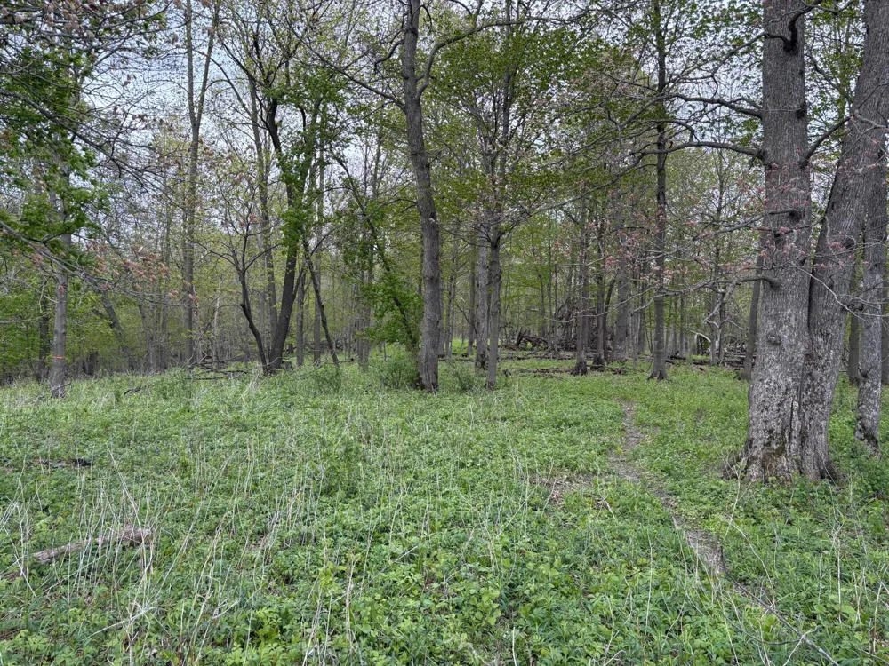 27333 Deep River Road Lanesboro, MN 55949