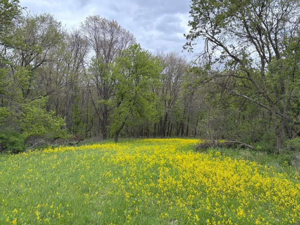 27333 Deep River Road Lanesboro, MN 55949