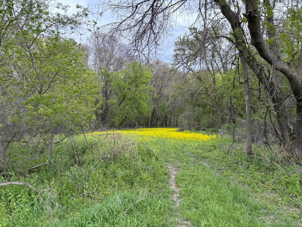 27333 Deep River Road Lanesboro, MN 55949