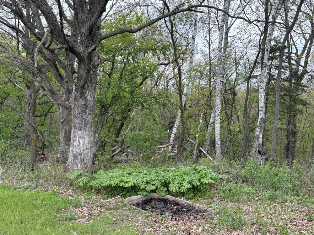 27333 Deep River Road Lanesboro, MN 55949