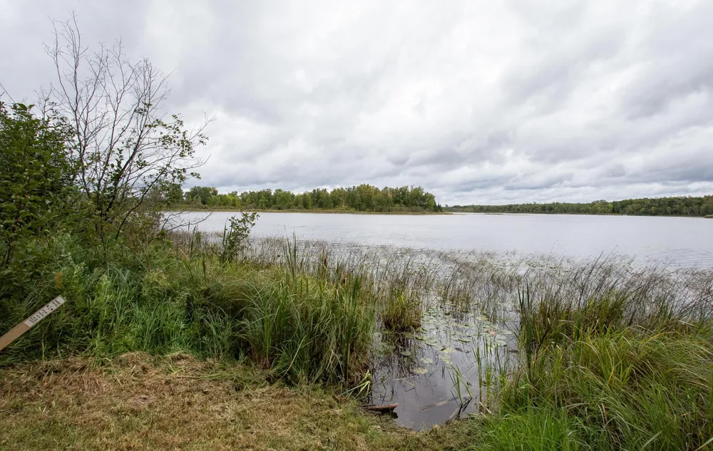 TBD Libby Lake Road Nashwauk, MN 55769