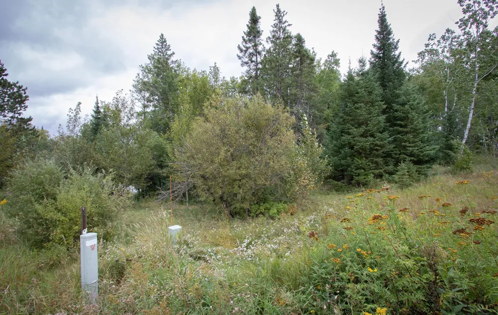 TBD Libby Lake Road Nashwauk, MN 55769
