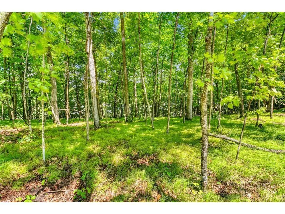 49330 Fish Lake Road Pelican Rapids, MN 56572