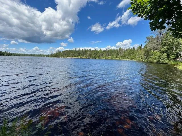 1804 Bay Road Ely, MN 55731
