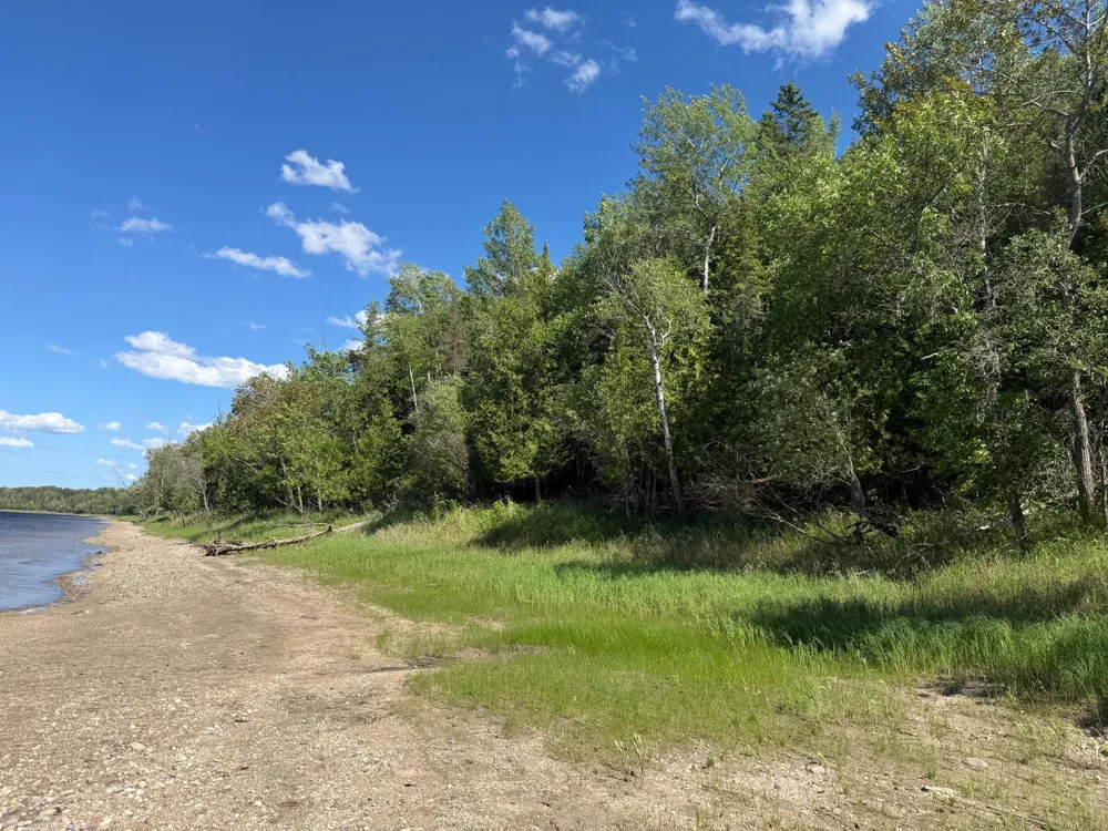 TBD Town Road 211 International Falls, MN 56649