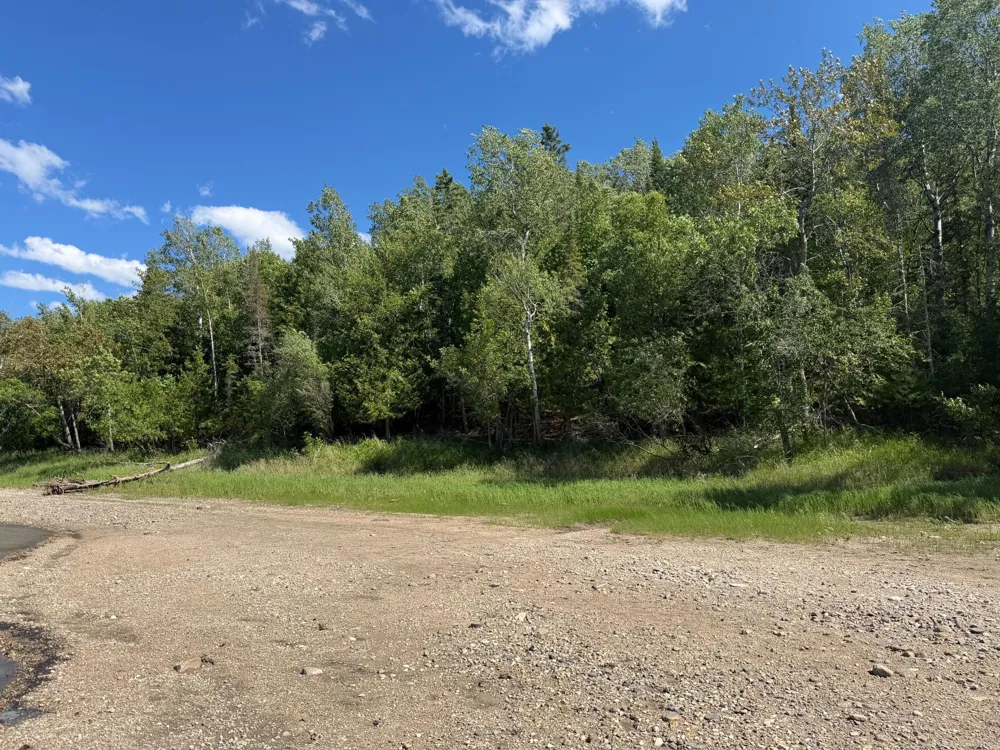 TBD Town Road 211 International Falls, MN 56649