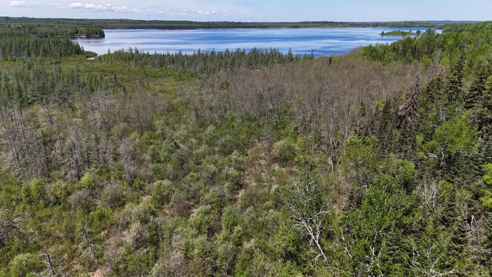 TBD 21 Nett Lake Road Orr, MN 55771