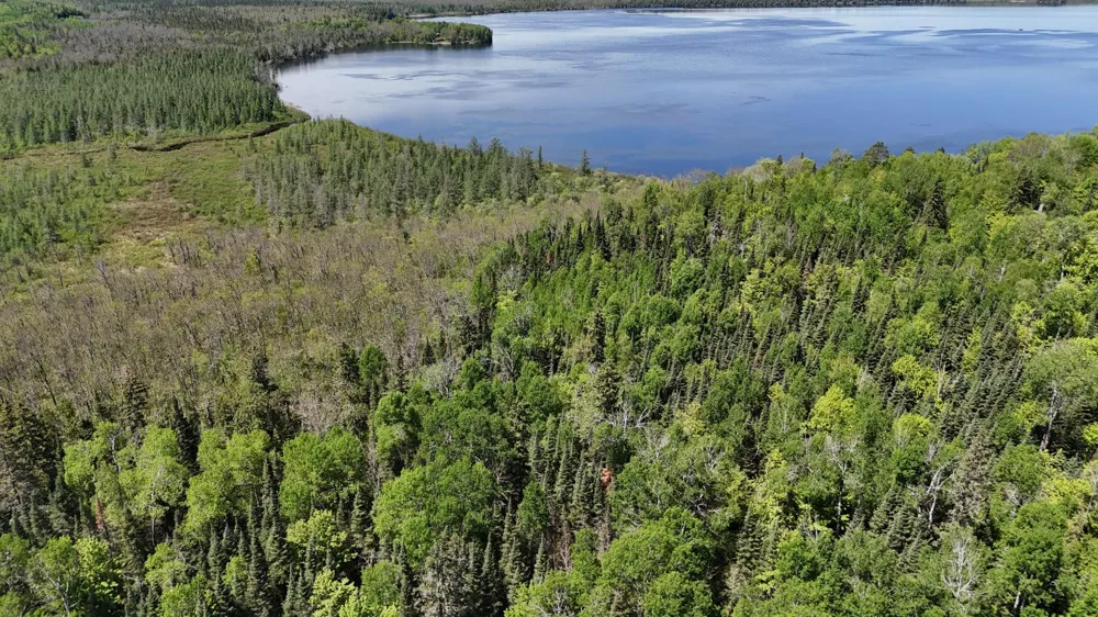 TBD 21 Nett Lake Road Orr, MN 55771