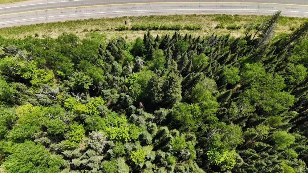 TBD 21 Nett Lake Road Orr, MN 55771