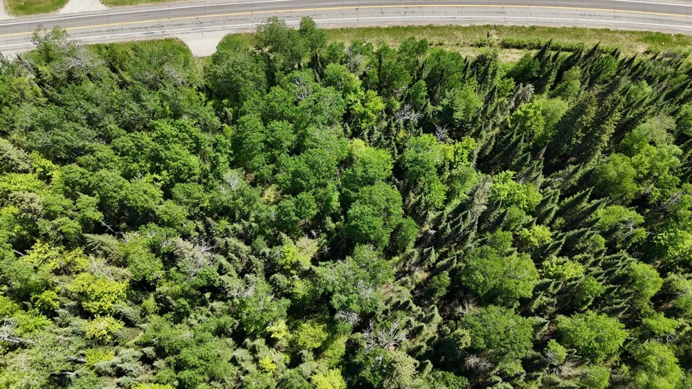 TBD 21 Nett Lake Road Orr, MN 55771