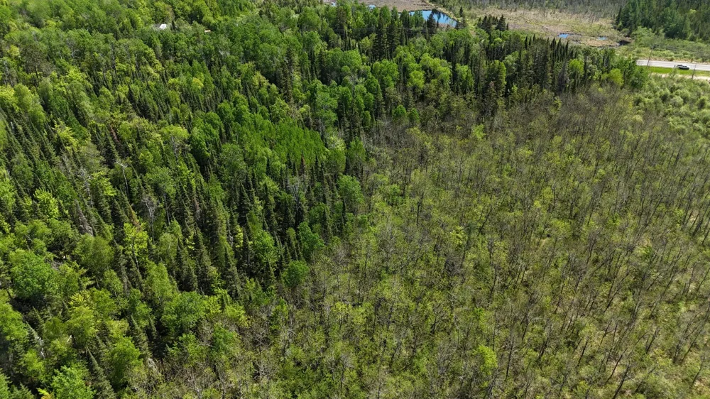 TBD 21 Nett Lake Road Orr, MN 55771