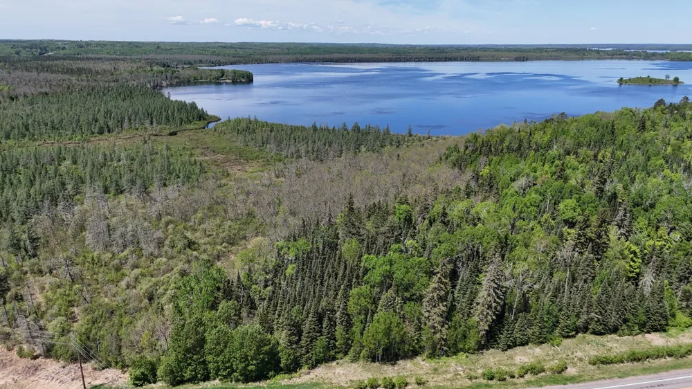 TBD 21 Nett Lake Road Orr, MN 55771