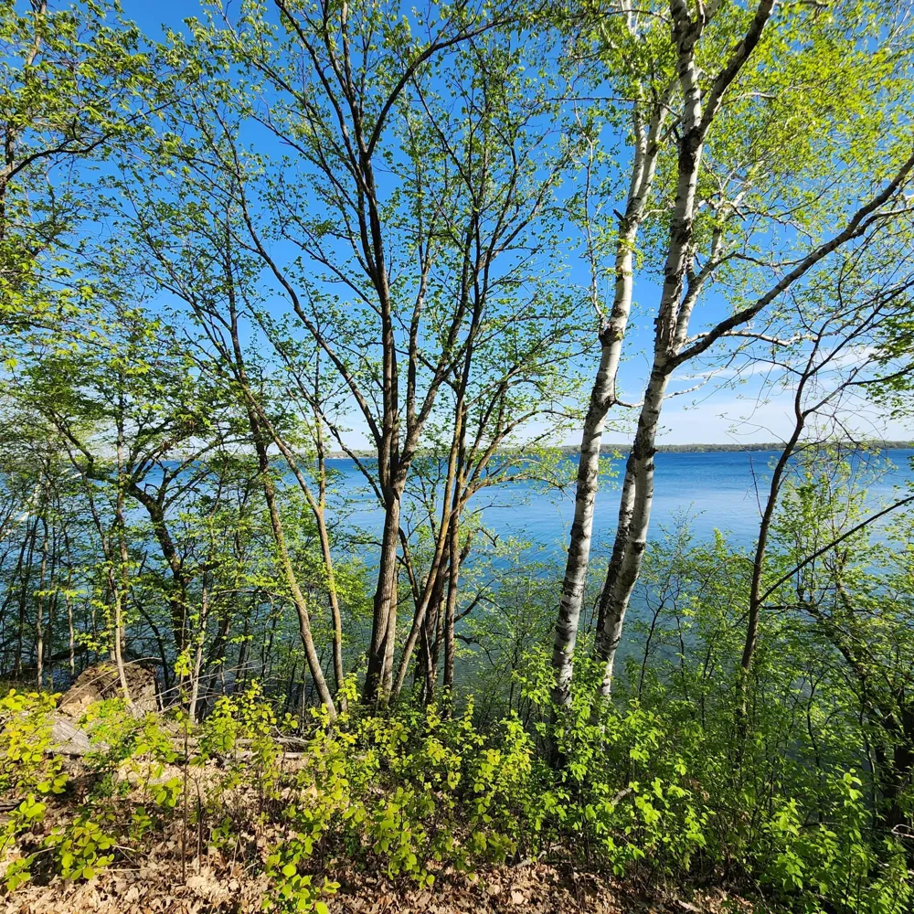 TBD Knollwood Lane Pelican Rapids, MN 56572