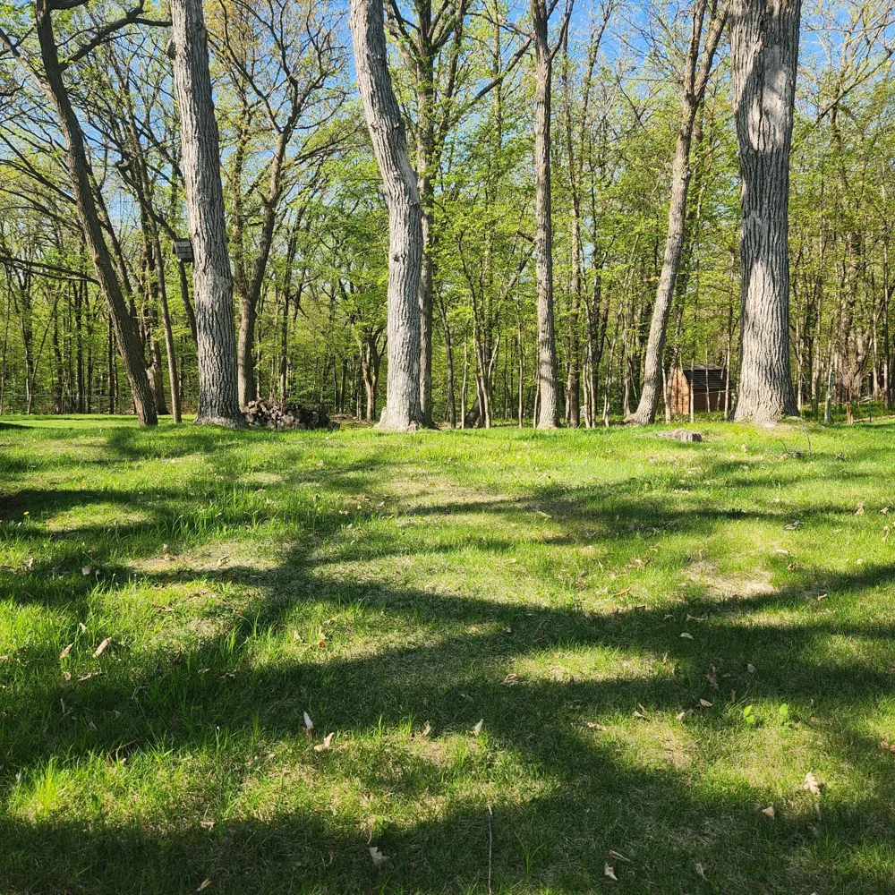 TBD Knollwood Lane Pelican Rapids, MN 56572