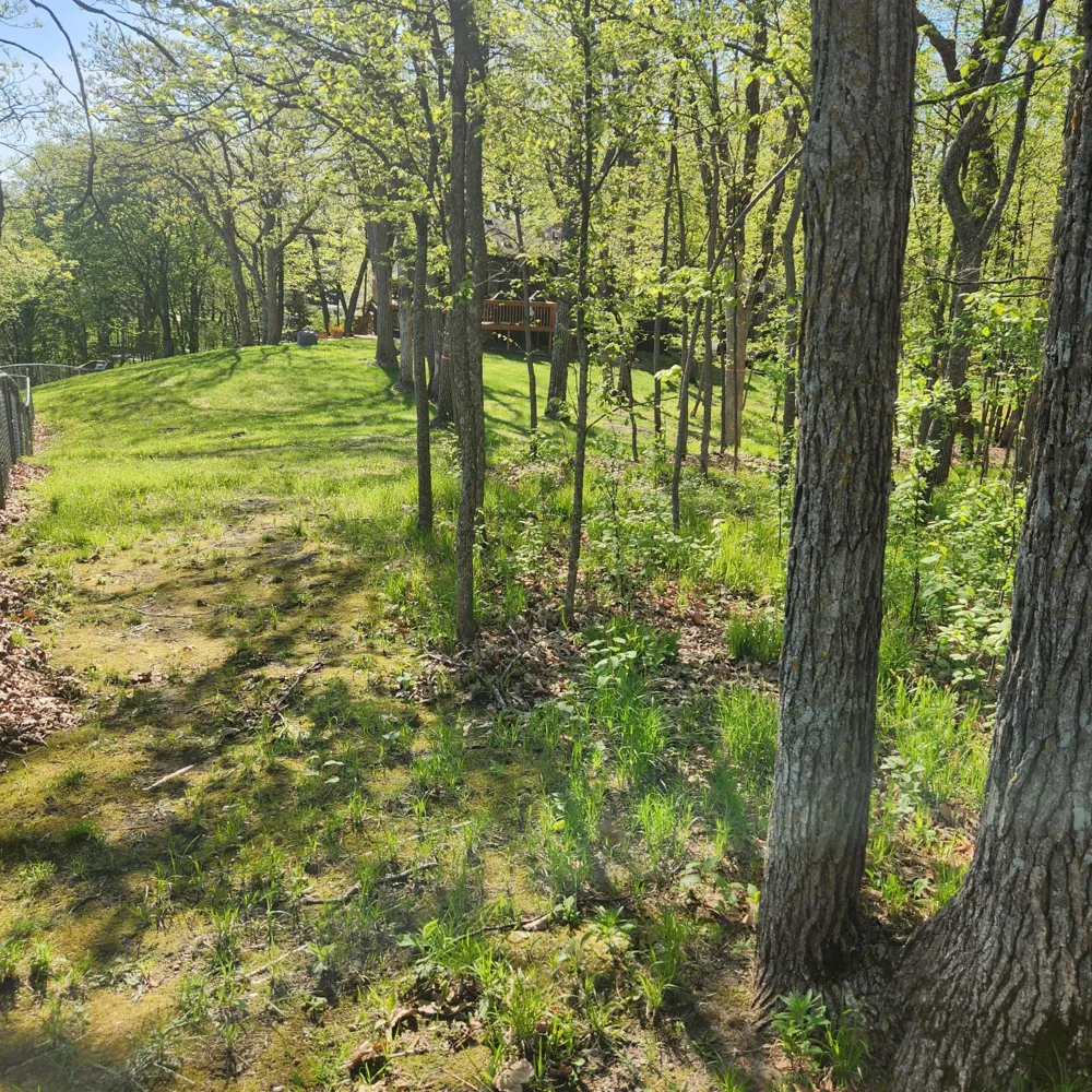 TBD Knollwood Lane Pelican Rapids, MN 56572