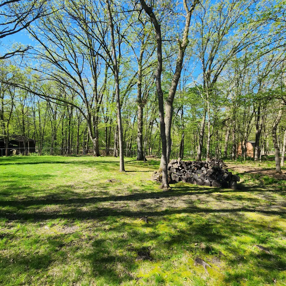 TBD Knollwood Lane Pelican Rapids, MN 56572