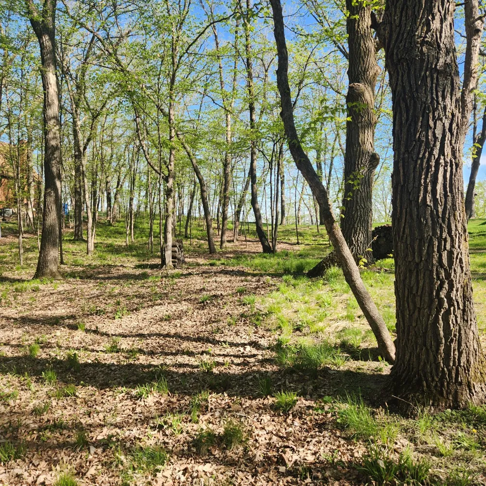 TBD Knollwood Lane Pelican Rapids, MN 56572