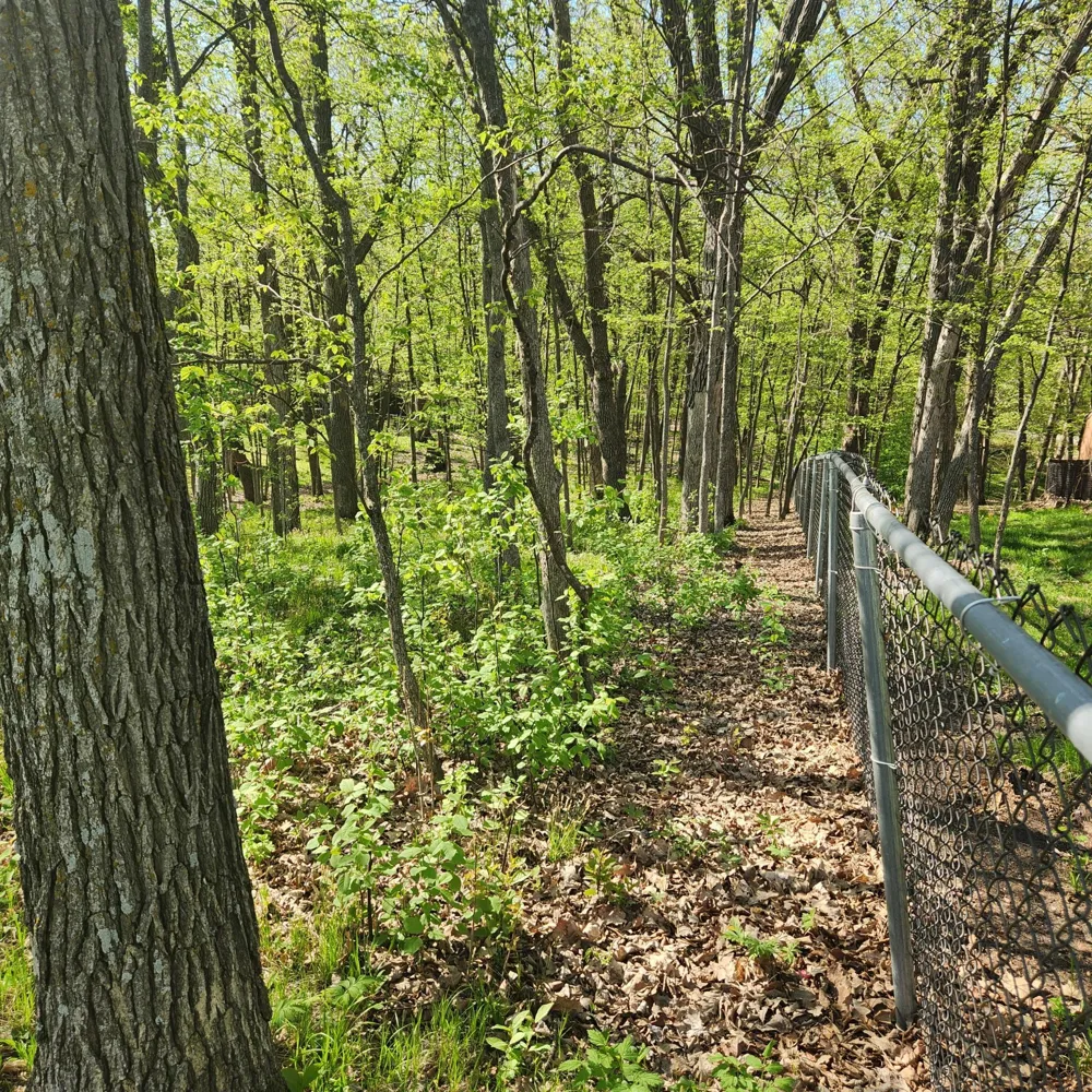 TBD Knollwood Lane Pelican Rapids, MN 56572