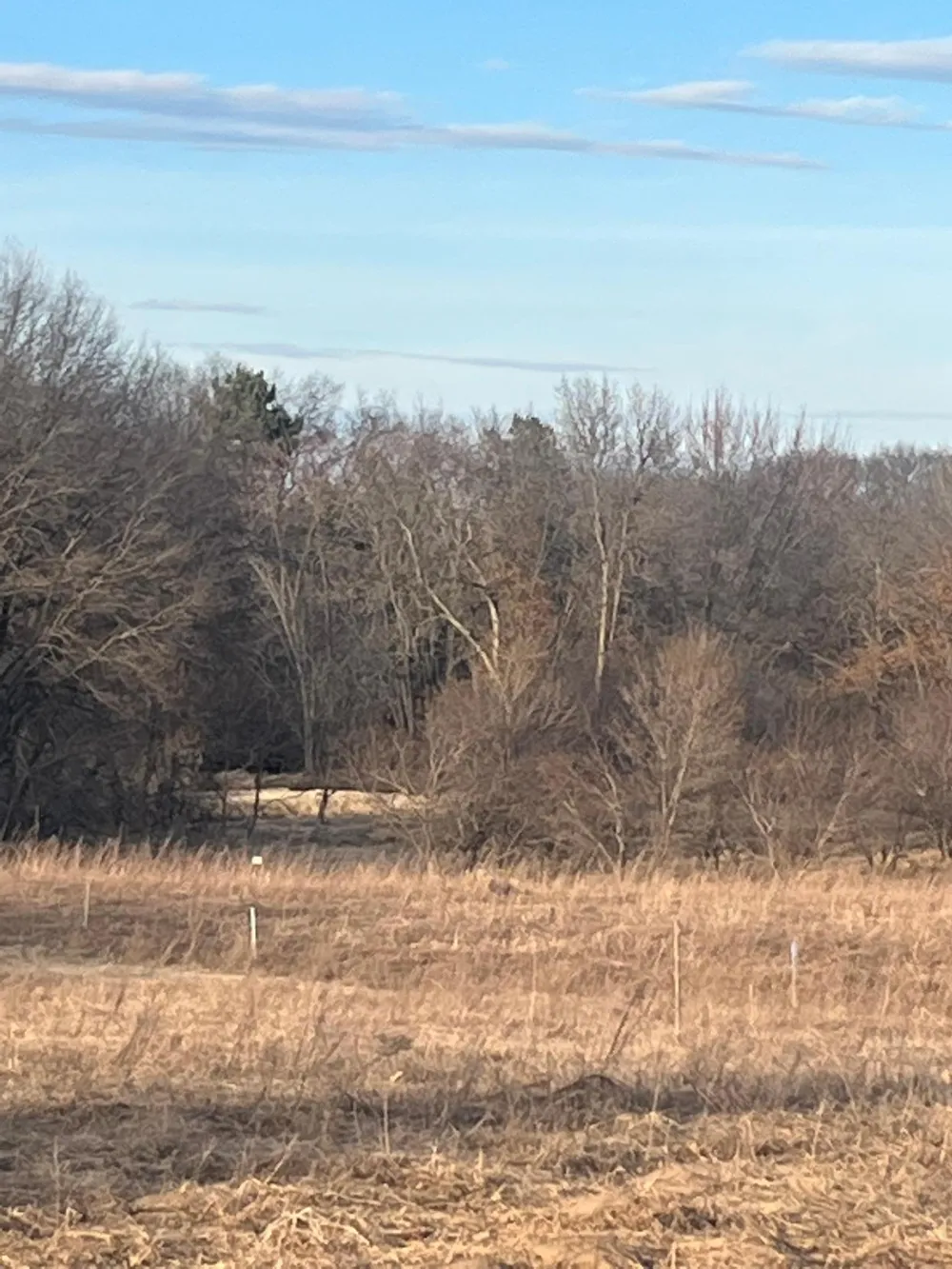 5590 Bridgestone Road Saint Francis, MN 55070