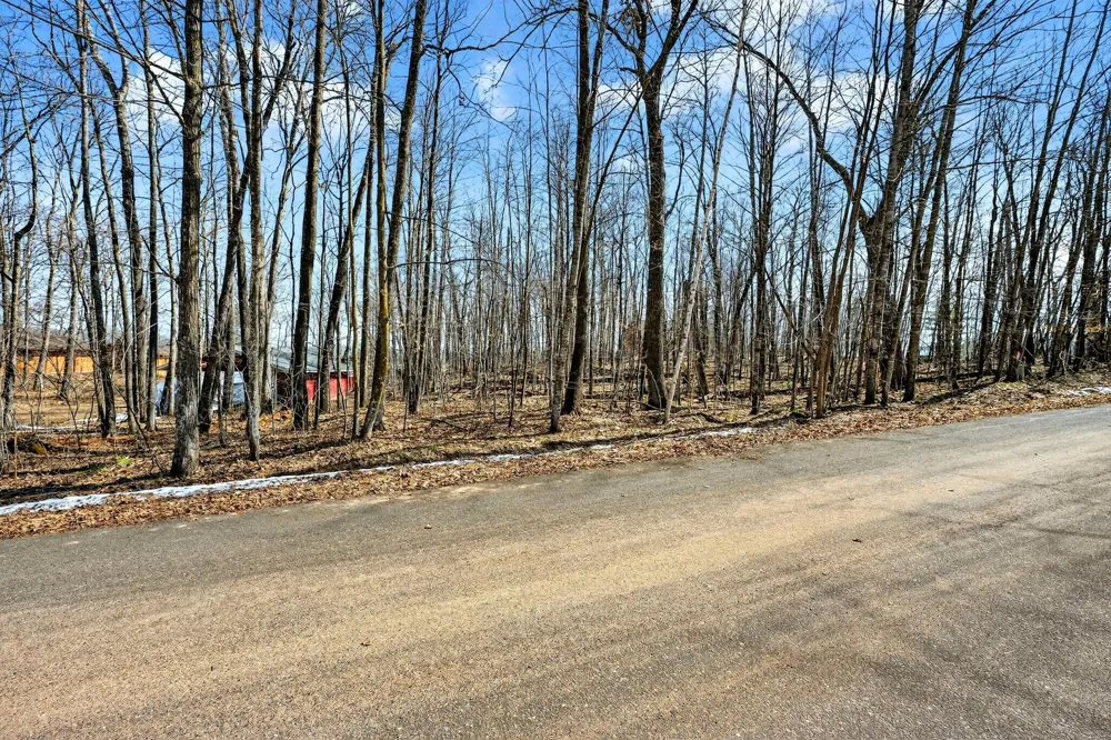 TBD Ripley Spur Road Sarona, WI 54870